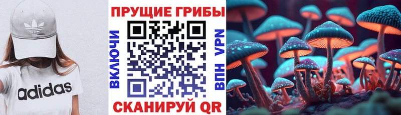 цена   KRAKEN ссылка  Псилоцибиновые грибы Magic Shrooms  Сарапул 